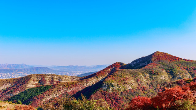 大山秋色