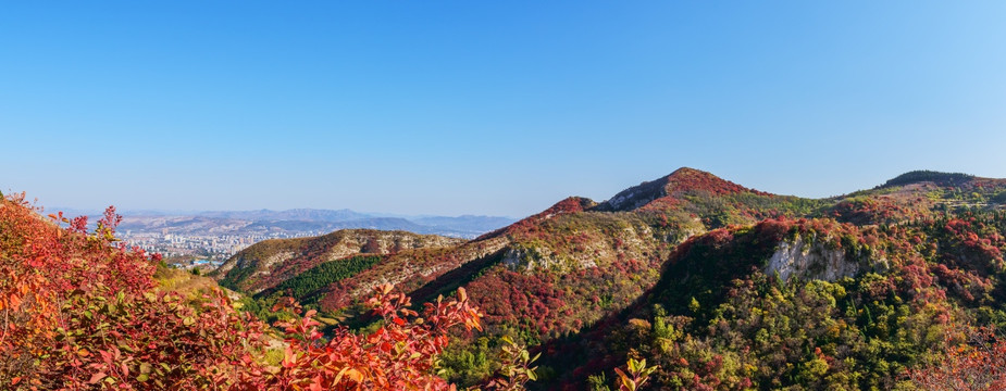 大山秋色