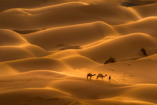 摩洛哥沙哈拉沙漠