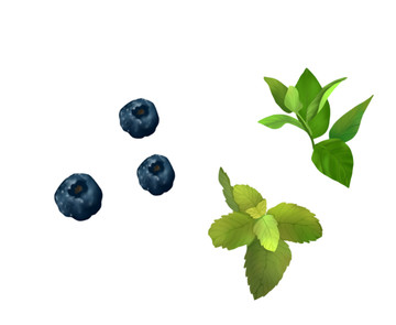 薄荷藍(lán)莓