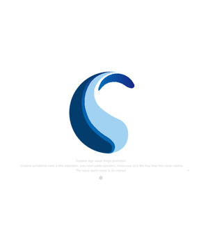 S字LOGO标识设计