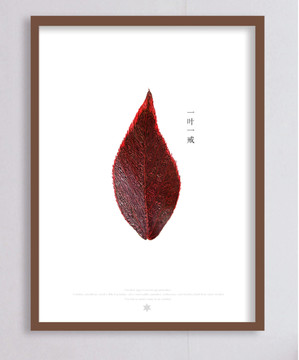 葉子 一葉一戒