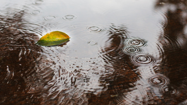 雨景