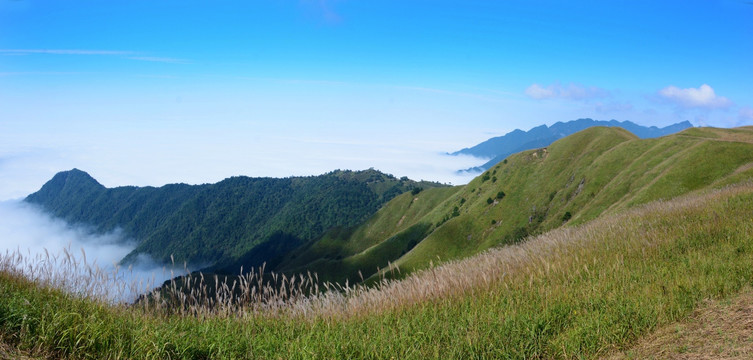 江西武功山云海景色 萍乡武功山