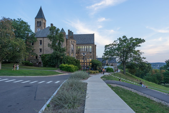 康奈尔大学 图书馆