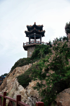 北戴河 鸽子窝公园 大海