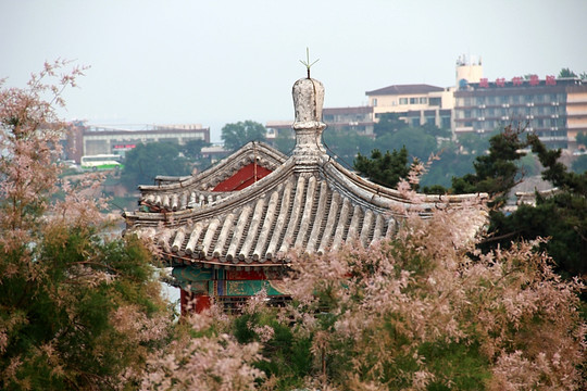 北戴河 鸽子窝公园 大海