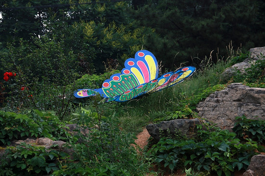 绿地上的 公园蝴蝶雕塑