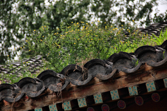 中式老民居 瓦片房檐