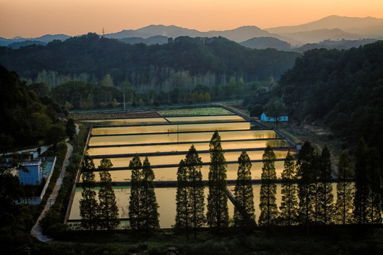 山里渔田