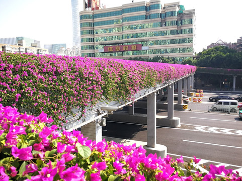 花城人行天桥 人行天桥