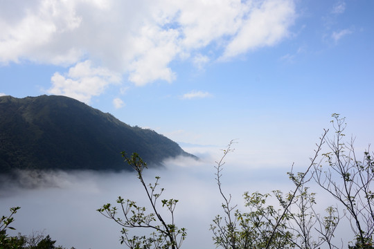 武功山云海 武功山云海实拍