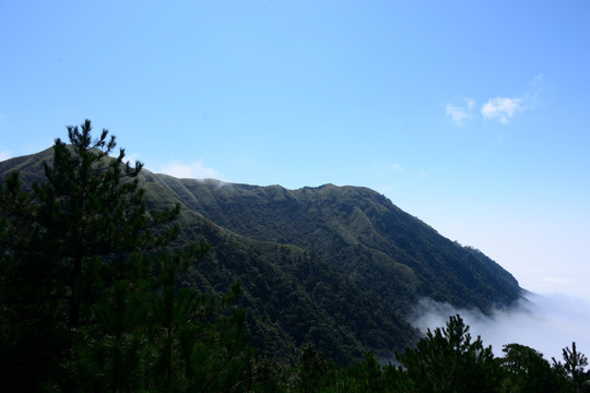 武功山云海 武功山云海实拍