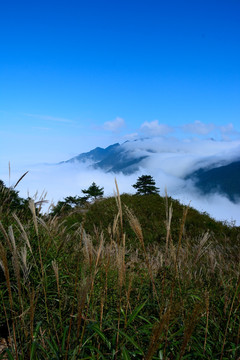 武功山景色 武功山风光摄影