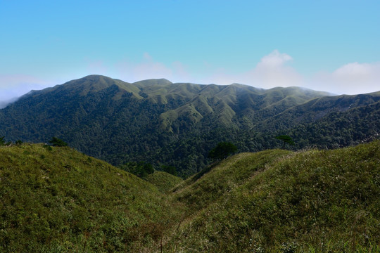 武功山景色 武功山风光摄影