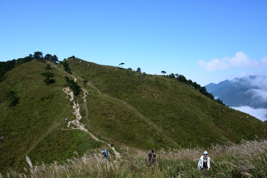 武功山云海素材 武功山云海风