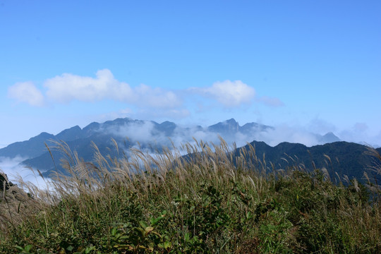 武功山云海素材 武功山云海风