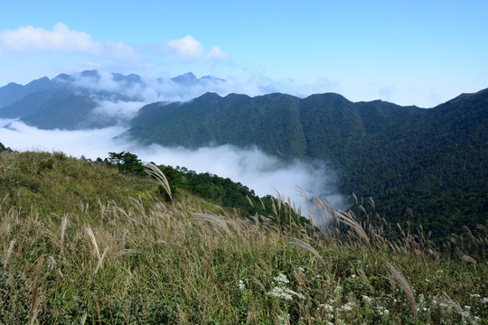 武功山云海素材 武功山云海风