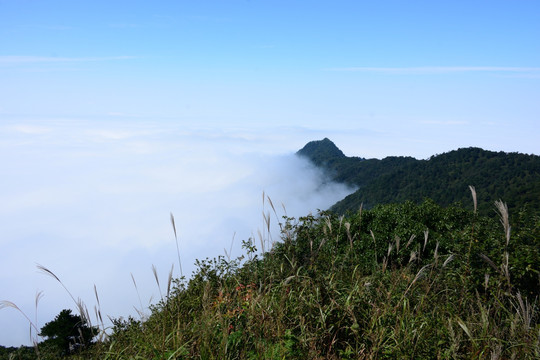 武功山云海景色 江西武功山云海