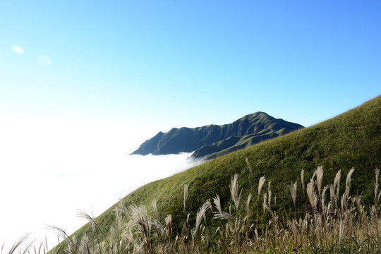 武功山云海 武功山云海实拍