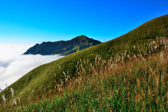 武功山 江西武功山 萍乡武功山