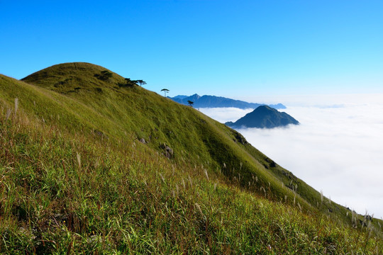 武功山景色 武功山风光摄影