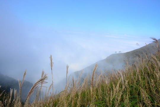 武功山风光摄影 大美武功山