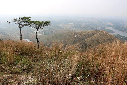 龙王尖风景