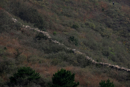 龙王尖风景