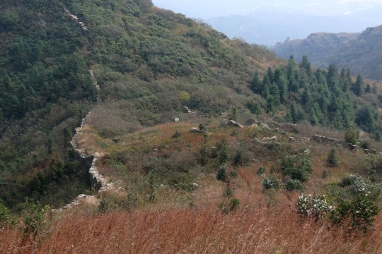 龙王尖风景