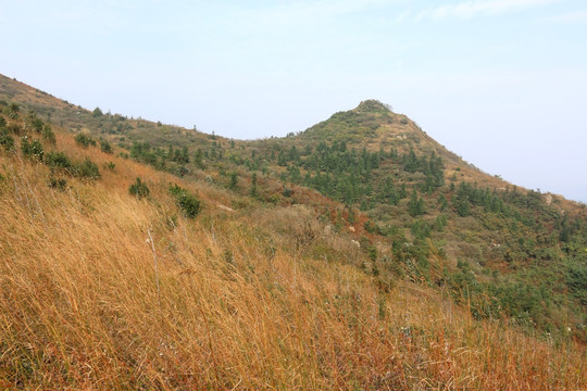 龙王尖风景