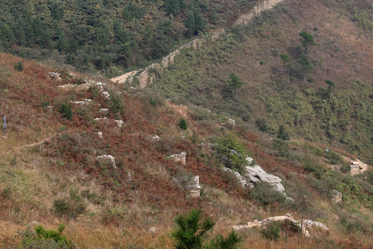 龙王尖风景