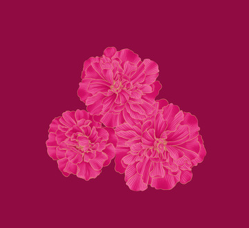 花卉