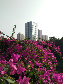 花儿天空建筑