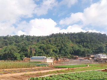 田地山林