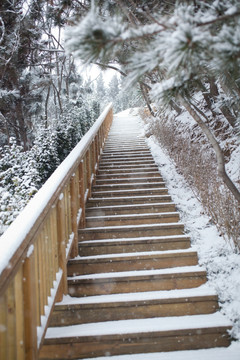 台阶 木栈道 雪