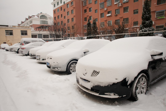 大雪 停车