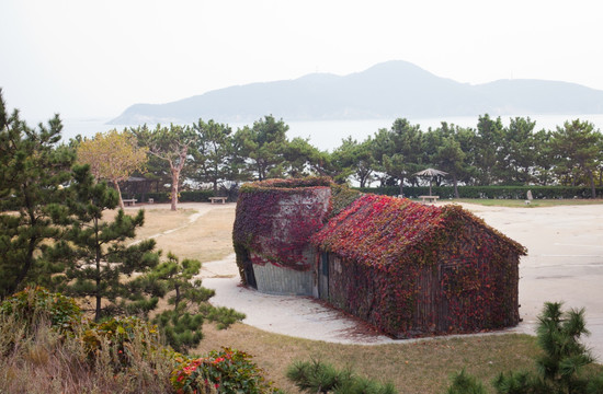 田园 红叶海岛