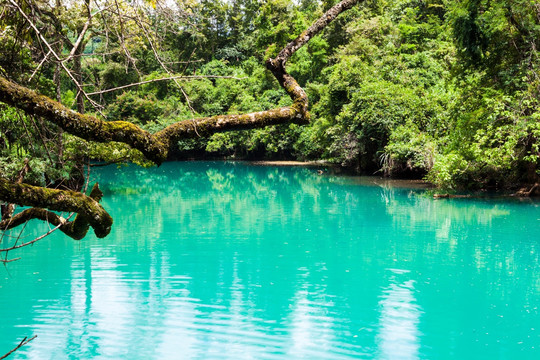 荔波小七孔 绿色湖水