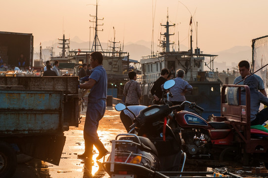 晨曦中的渔港 日出东方 打渔船