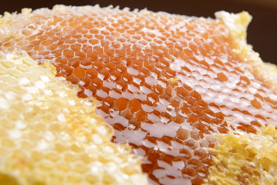 蜂蜜与蜂巢