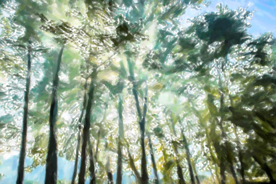 風(fēng)景畫 樹林