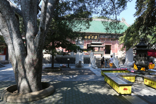 北京戒台寺