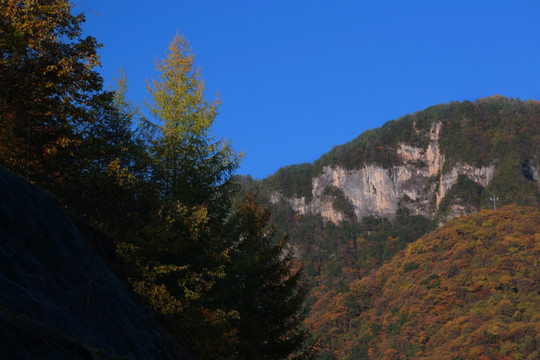 红叶 神农架