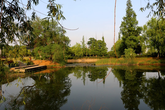 池塘 生态环境