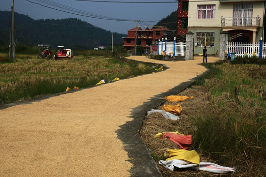 村庄风景