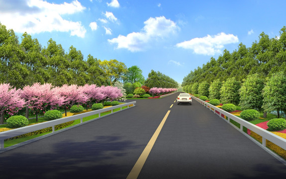 高速公路两侧绿化效果图