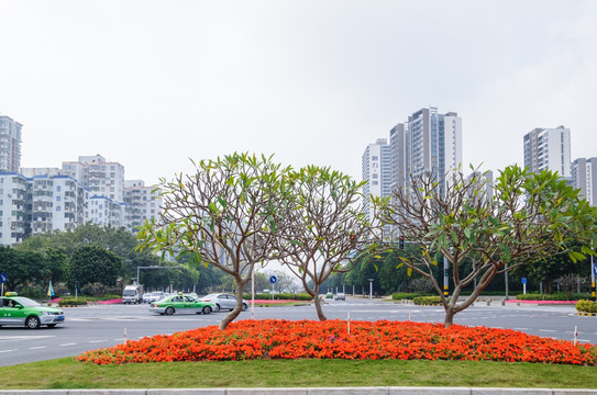 城市绿化