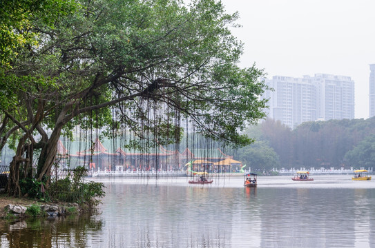 湖景