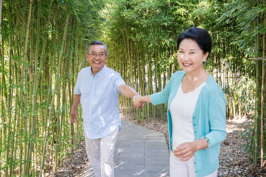 一对老夫妻在竹林散步